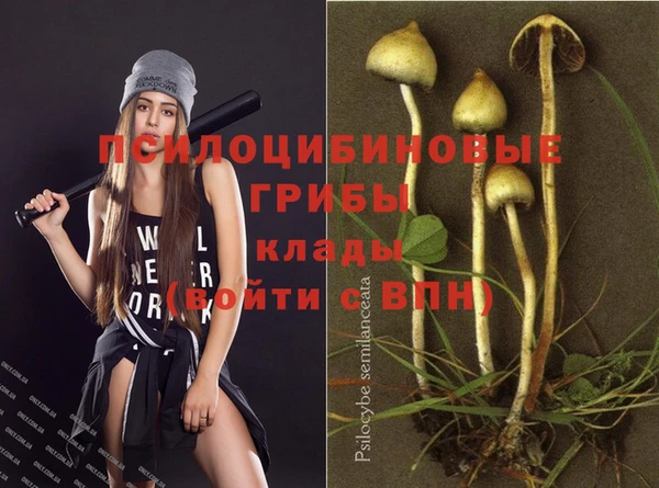 PSILOCYBIN Богданович